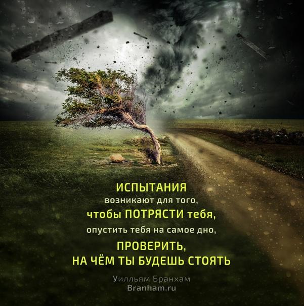 Картинка цитаты