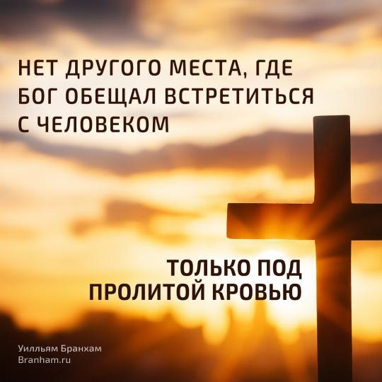 Картинка цитаты