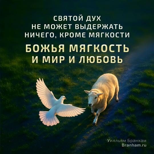 Картинка цитаты