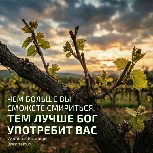 Картинка цитаты